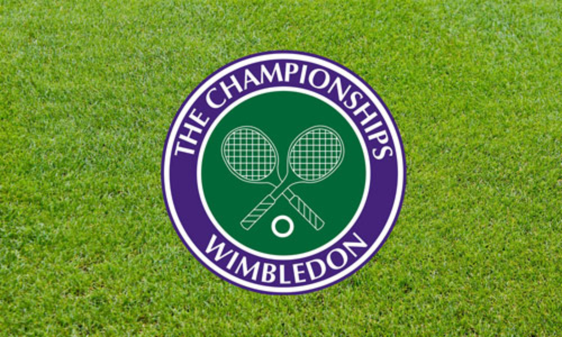 Wimbledon Betting Odds and Strategy